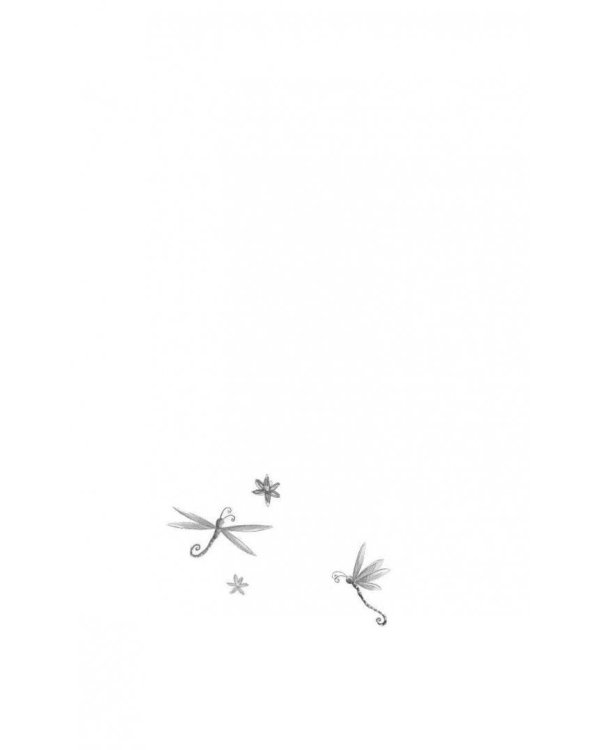 Эмили и волшебный сундук