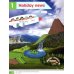 Academy Stars. Level 4. Pupil's Book Pack