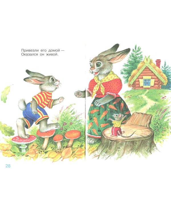 Сорока-белобока