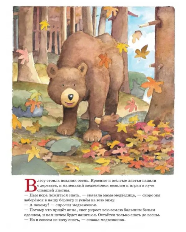 Ложись спать, медвежонок!