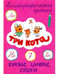 Буквы,цифры,слоги