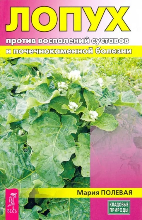 Лопух против воспалений суставов и почечнокаменной болезни