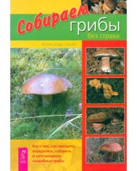 Собираем грибы без страха. Все о том, как находить, определять, собирать и заготавливать грибы