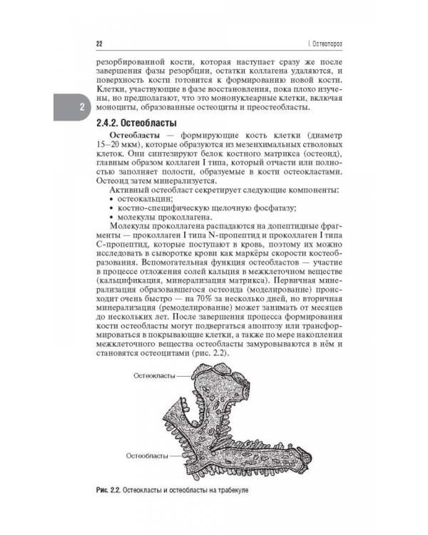 Остеопороз, гиперпаратиреоз и дефицит витамина D