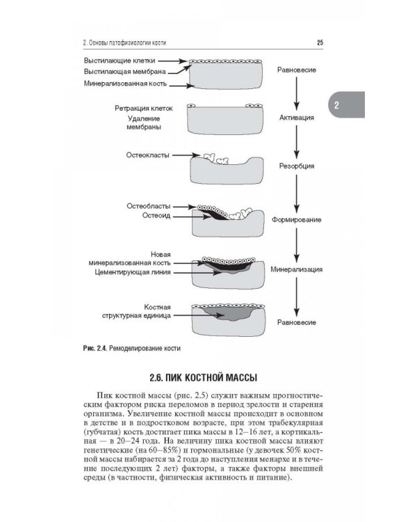 Остеопороз, гиперпаратиреоз и дефицит витамина D