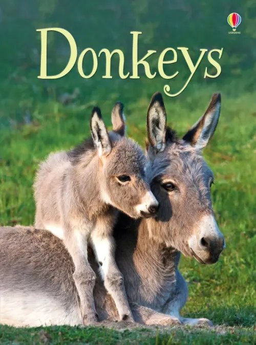 Usborne Beginners Donkeys