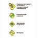 Настольная игра. Шоколадная битва