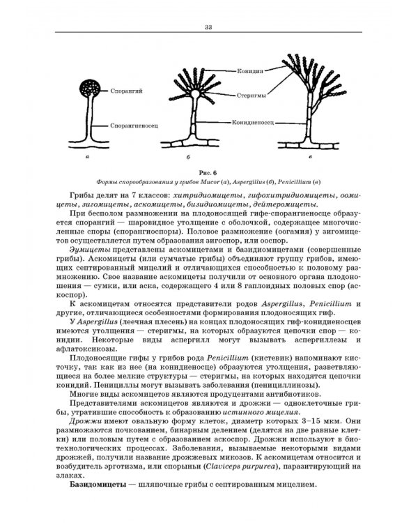 Дополнительное изображение книги «Биотехнология рациональной переработки животного сырья. Учебное пособие»