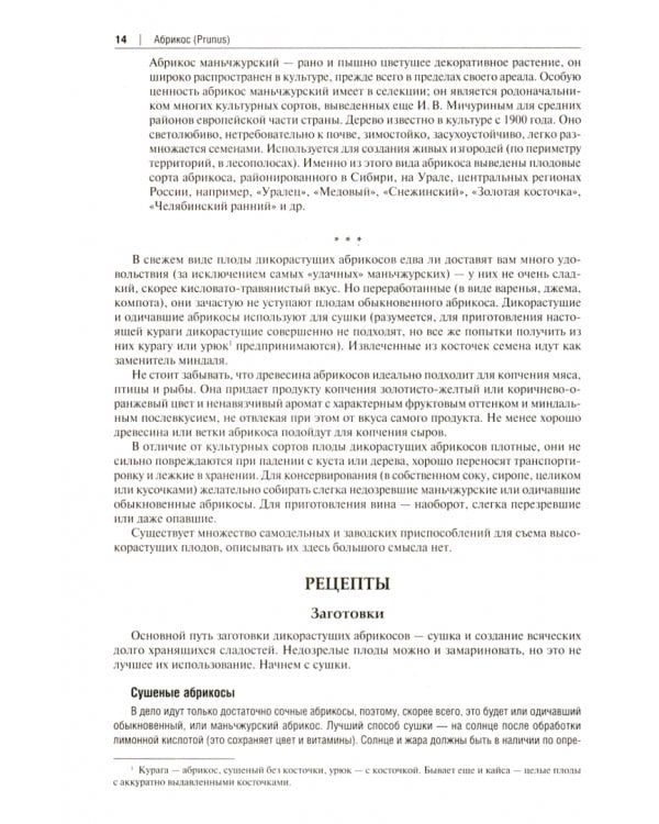 Готовим из дикоросов. Деревья и кустарники