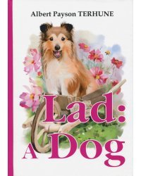 Lad. A Dog