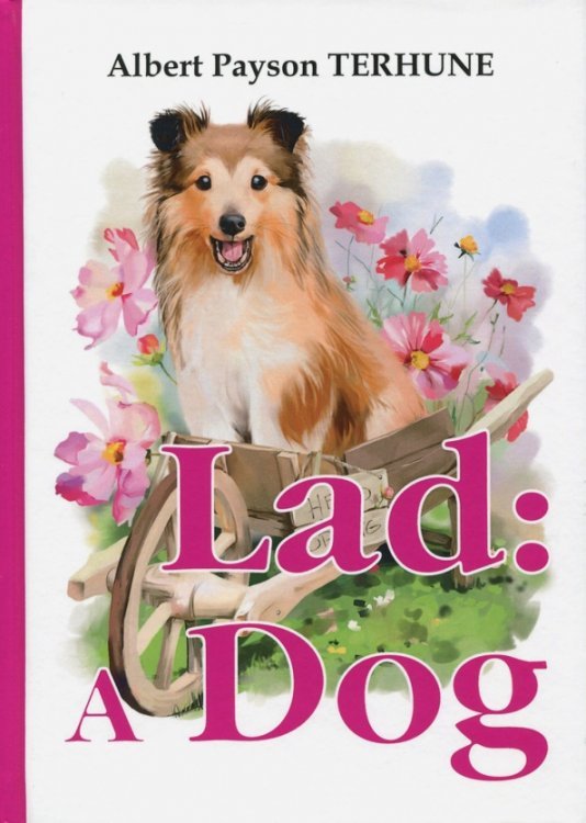 Lad. A Dog