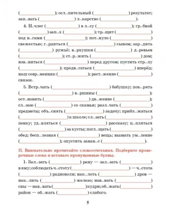 Русский язык. 5 класс. Тренажер по орфографии и пунктуации
