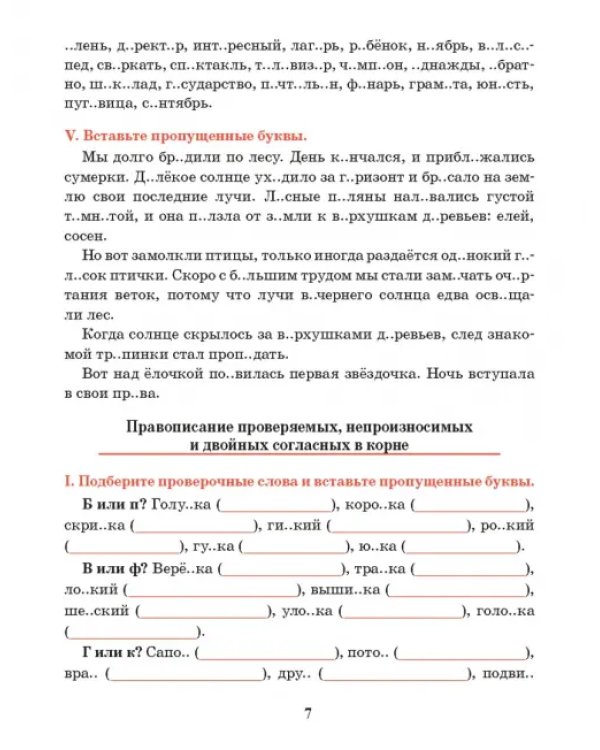 Русский язык. 5 класс. Тренажер по орфографии и пунктуации