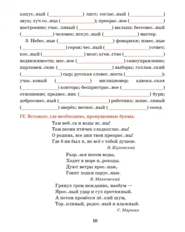 Русский язык. 5 класс. Тренажер по орфографии и пунктуации