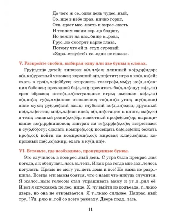 Русский язык. 5 класс. Тренажер по орфографии и пунктуации