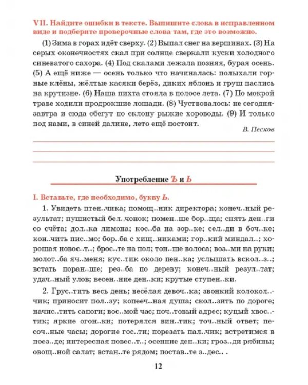 Русский язык. 5 класс. Тренажер по орфографии и пунктуации