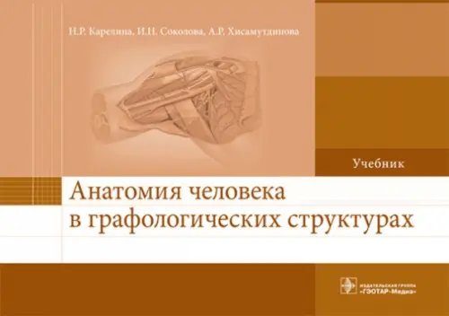 Анатомия человека в графологических структурах Анатомия человека в графологических структурах