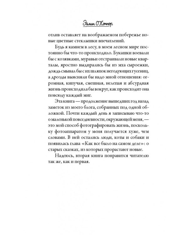 О лебединых крыльях, котах и чудесах