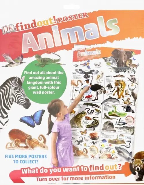 chart DKfindout! Animals Poster. Wall Chart