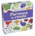 Пазлы-лото. Растения и грибы