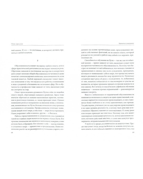 Огонь стремления. Книга о суфийской Работе