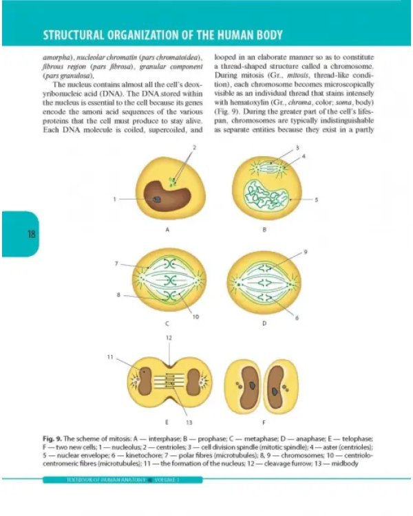 Textbook of Human Anatomy. Volume 1: Locomotor apparаtus