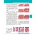Textbook of Human Anatomy. Volume 1: Locomotor apparаtus