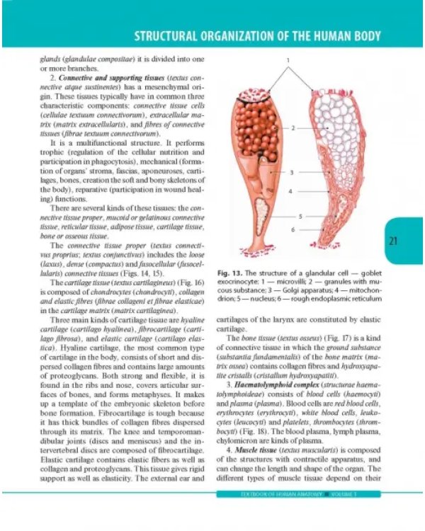 Textbook of Human Anatomy. Volume 1: Locomotor apparаtus