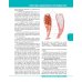 Textbook of Human Anatomy. Volume 1: Locomotor apparаtus