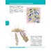 Textbook of Human Anatomy. Volume 1: Locomotor apparаtus
