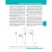 Textbook of Human Anatomy. Volume 1: Locomotor apparаtus