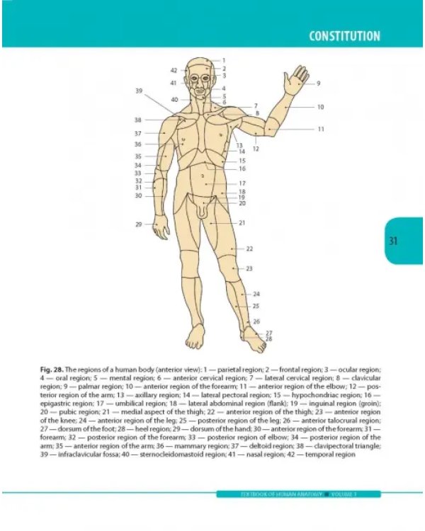 Textbook of Human Anatomy. Volume 1: Locomotor apparаtus