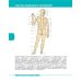 Textbook of Human Anatomy. Volume 1: Locomotor apparаtus