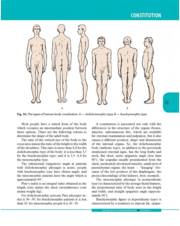 Textbook of Human Anatomy. Volume 1: Locomotor apparаtus