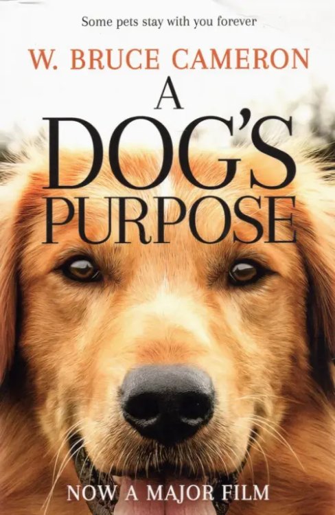A Dog`s Purpose A Dog's Purpose