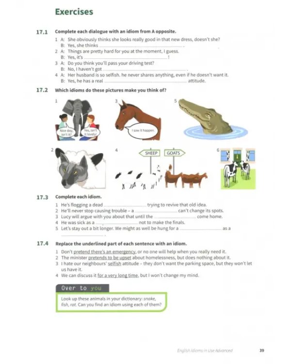 English Idioms in Use. Advanced. Book with Answers. Vocabulary Reference and Practice