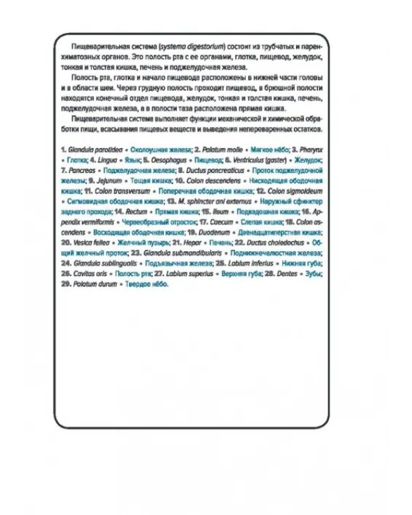 Анатомия человека. Спланхнология. Карточки (49 шт.)