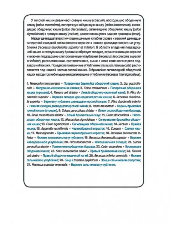 Анатомия человека. Спланхнология. Карточки (49 шт.)