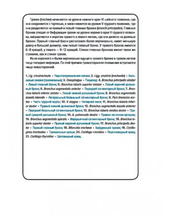 Анатомия человека. Спланхнология. Карточки (49 шт.)