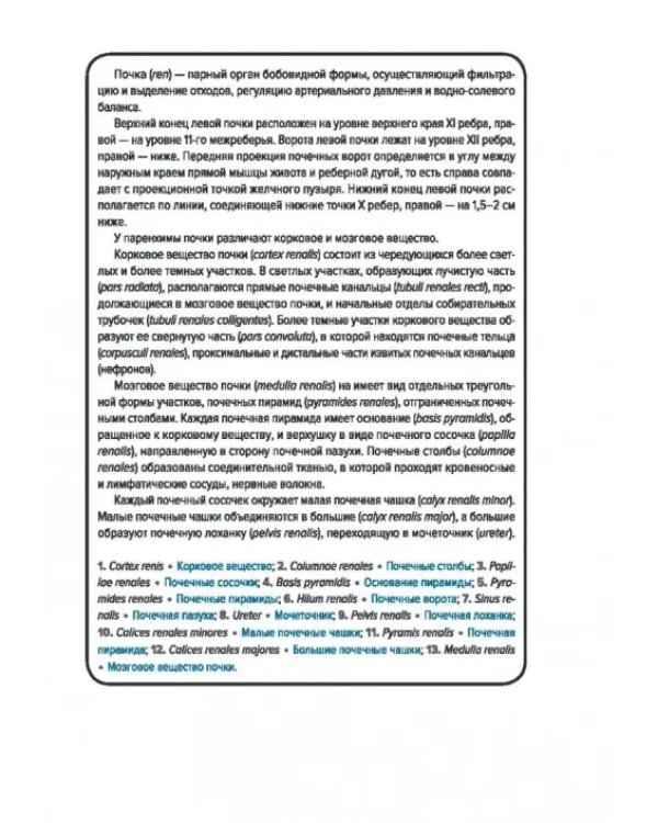 Анатомия человека. Спланхнология. Карточки (49 шт.)