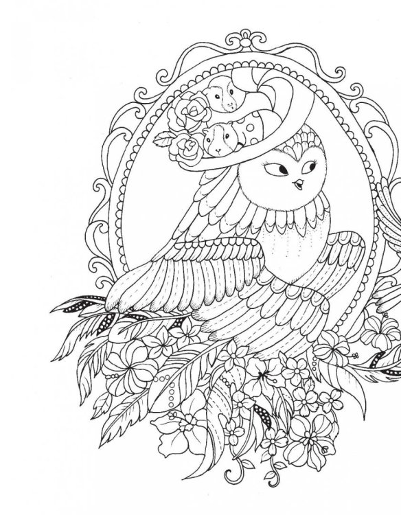 Миллион сов