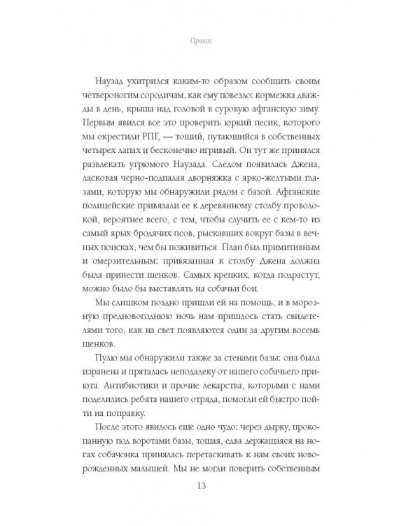 Собаки, которых мы спасли. Нет места лучше дома