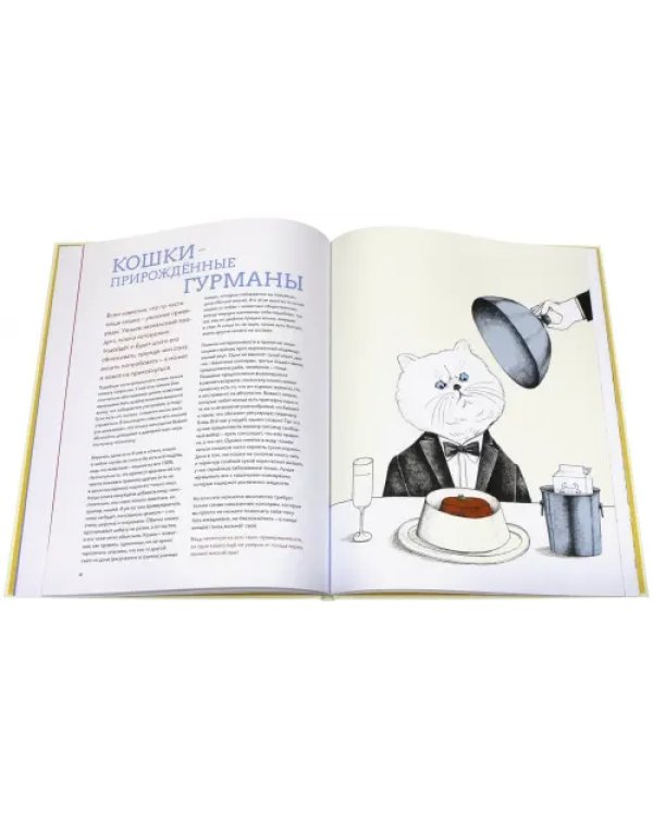 Собаки & кошки:Что знает о них наука (илл.Муррен С.)