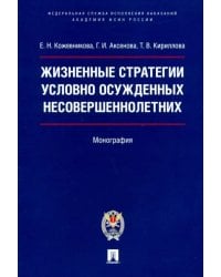 Жизненные стратегии условно осужденных несовершеннолетних. Монография