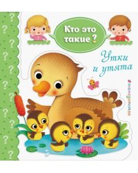 Утки и утята