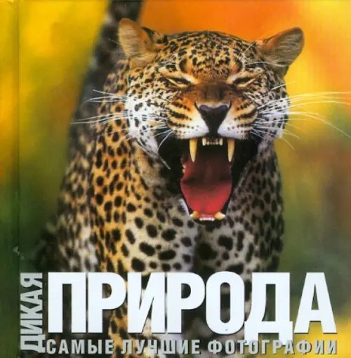 Дикая природа