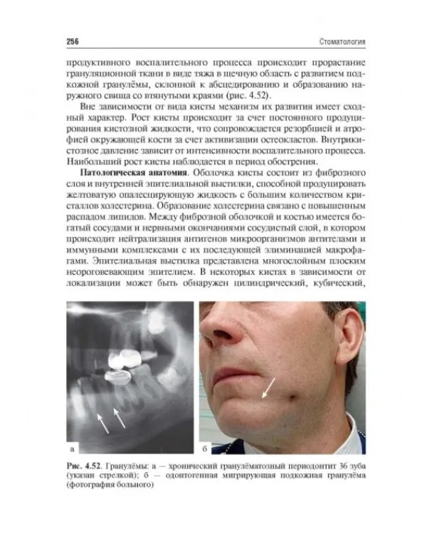 Стоматология. Учебник для ВУЗов