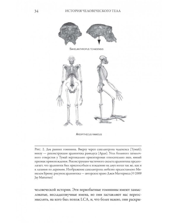 История человеческого тела. Эволюция, здоровье и болезни