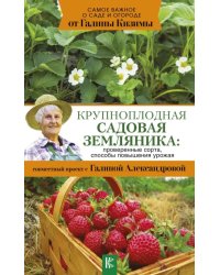 Крупноплодная садовая земляника. Проверенные сорта, способы повышения урожая