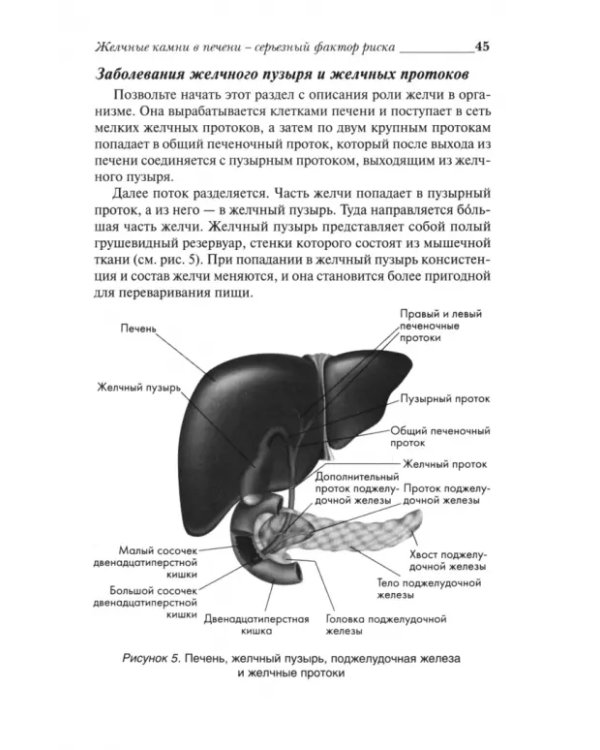 Удивительное очищение печени и желчного пузыря